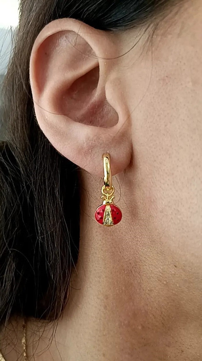 HOOPS COCCY PLACCATI ORO
