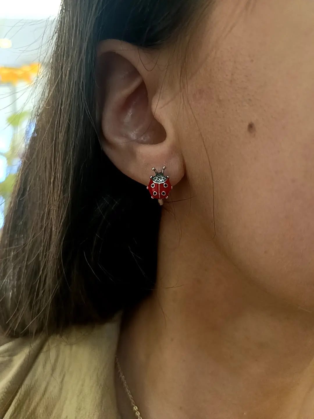 HOOPS COCCY CHIC ARGENTO