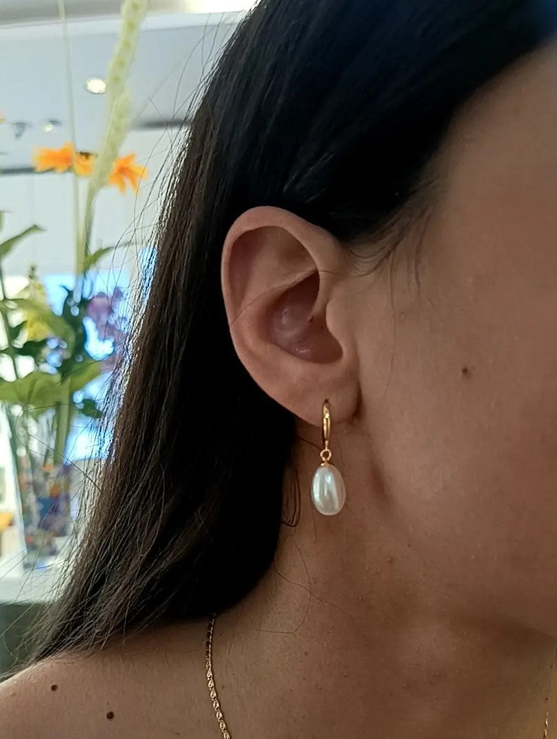 HOOPS PERLA PLACCATI ORO