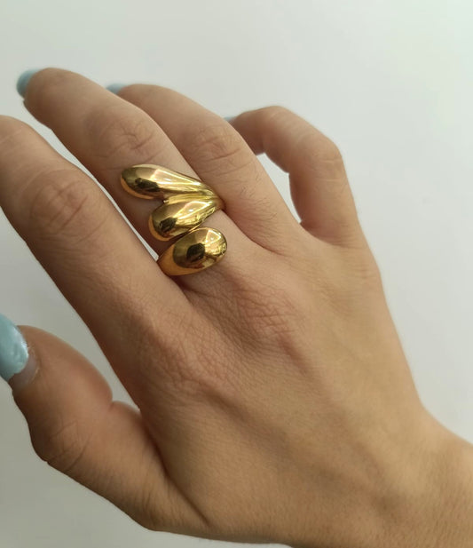 Anello dolphy