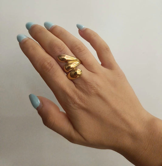 Anello dolphy