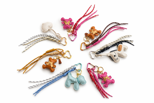 charm borsa